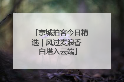 京城拍客今日精选｜风过麦浪香 白塔入云端